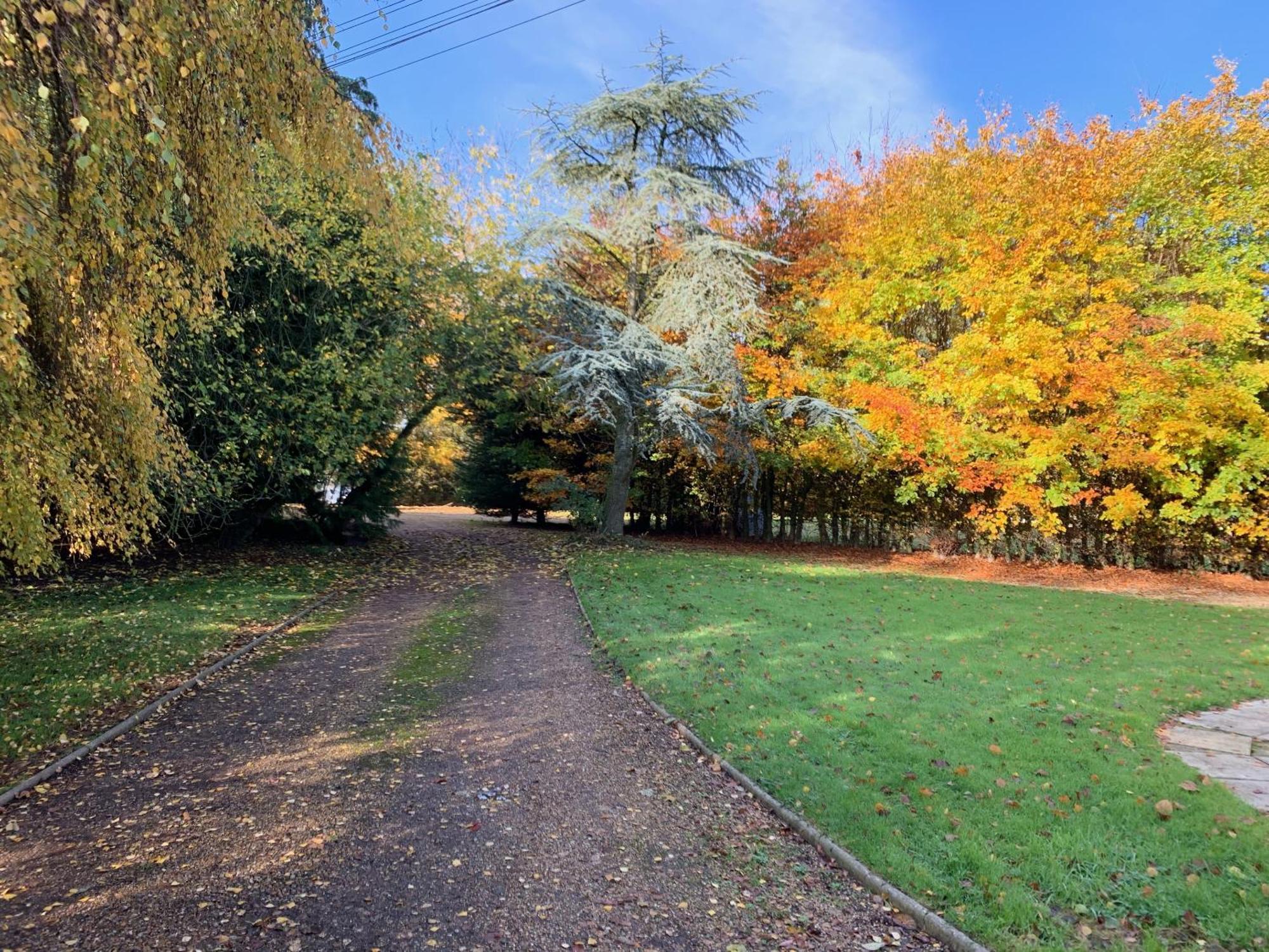 Aldercarr Hall Great Ellingham Extérieur photo